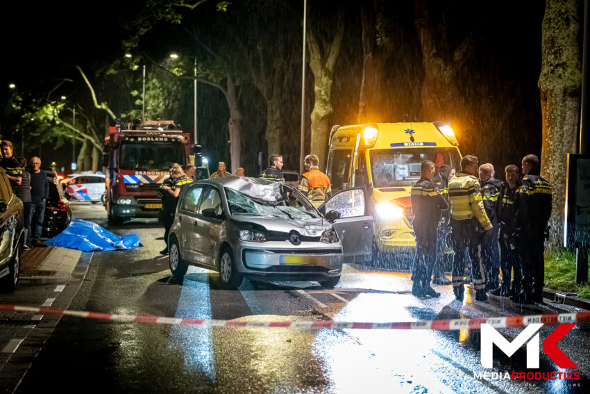 Loslopend paard overleden na botsing met auto, bestuurder gewond | Kralingse Plaslaan Rotterdam (uitgelicht)