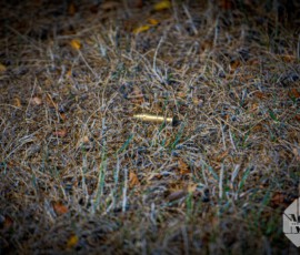 Update | Politie verzegelt beschoten woning na afronding onderzoek | Lange Zantelweg Poortugaal (4)