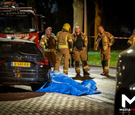 Loslopend paard overleden na botsing met auto, bestuurder gewond | Kralingse Plaslaan Rotterdam (1)