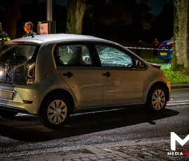 Loslopend paard overleden na botsing met auto, bestuurder gewond | Kralingse Plaslaan Rotterdam (2)