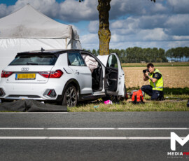 Automobilist overleden na aanrijding tegen boom | Maasdamseweg 's-Gravendeel (6)
