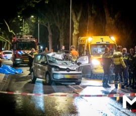 Loslopend paard overleden na botsing met auto, bestuurder gewond | Kralingse Plaslaan Rotterdam (uitgelicht)