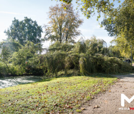 Foto: MK Mediaproducties Fietser bekneld onder boom op kruising Catullusweg Spinozaweg | Rotterdam (2)