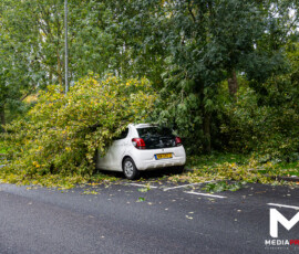 Foto: MK Mediaproducties Boom valt op geparkeerde auto, fietspad versperd | Slinge Rotterdam (2)