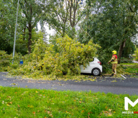 Foto: MK Mediaproducties Boom valt op geparkeerde auto, fietspad versperd | Slinge Rotterdam (3)