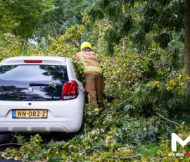 Foto: MK Mediaproducties Boom valt op geparkeerde auto, fietspad versperd | Slinge Rotterdam (4)