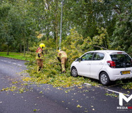 Foto: MK Mediaproducties Boom valt op geparkeerde auto, fietspad versperd | Slinge Rotterdam (5)