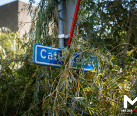 Foto: MK Mediaproducties Fietser bekneld onder boom op kruising Catullusweg Spinozaweg | Rotterdam (6)