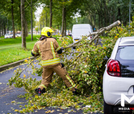Foto: MK Mediaproducties Boom valt op geparkeerde auto, fietspad versperd | Slinge Rotterdam (6)