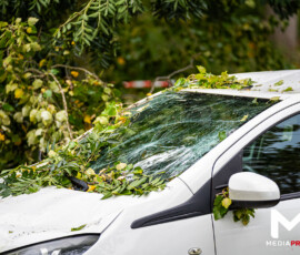 Foto: MK Mediaproducties Boom valt op geparkeerde auto, fietspad versperd | Slinge Rotterdam (7)