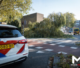 Foto: MK Mediaproducties Fietser bekneld onder boom op kruising Catullusweg Spinozaweg | Rotterdam (7)