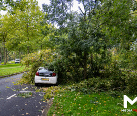 Foto: MK Mediaproducties Boom valt op geparkeerde auto, fietspad versperd | Slinge Rotterdam (uitgelicht)